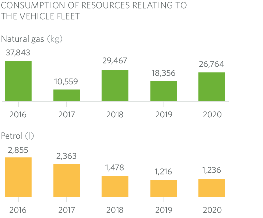 Consumption Vehicle_Fleet MRG