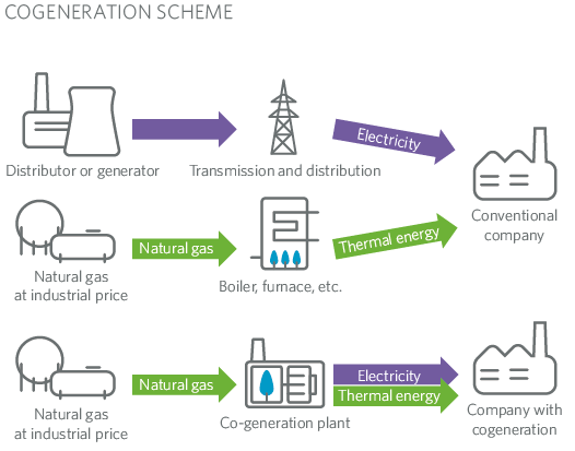 Cogeneration Scheme MRG