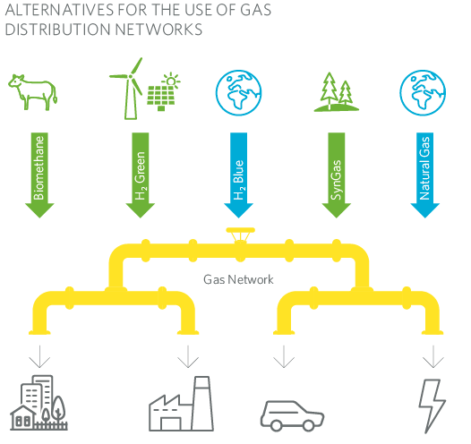Alternatives for the use of Gas Distribution Networks MRG